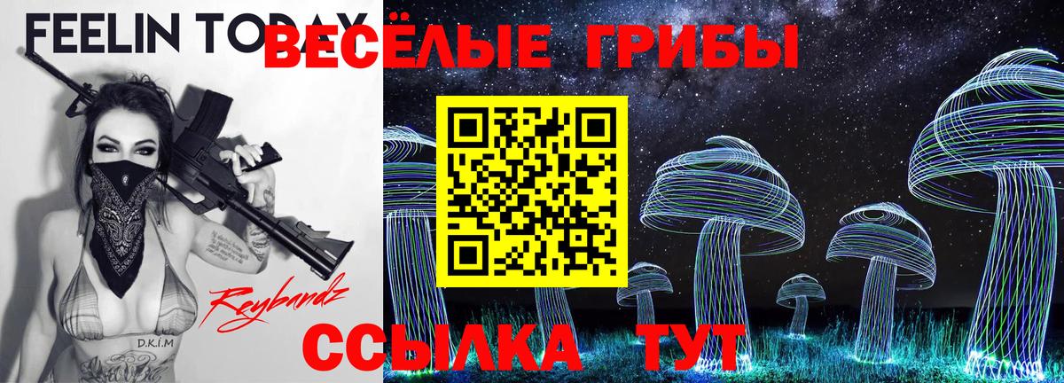 Псилоцибиновые грибы Cubensis Можайск